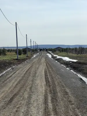 Дом, 85 м², продажа